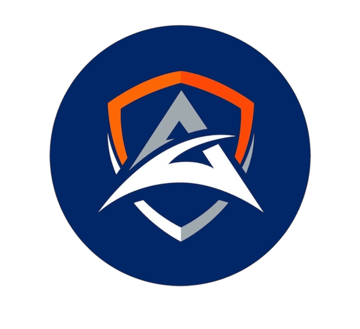 Logo Asegur — Seguridad perimetral